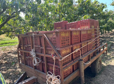 ผู้อำนวยการกลุ่มพัฒนาสหกรณ์การเกษตร 2 ลงพื้นที่ติดตาม ... พารามิเตอร์รูปภาพ 10